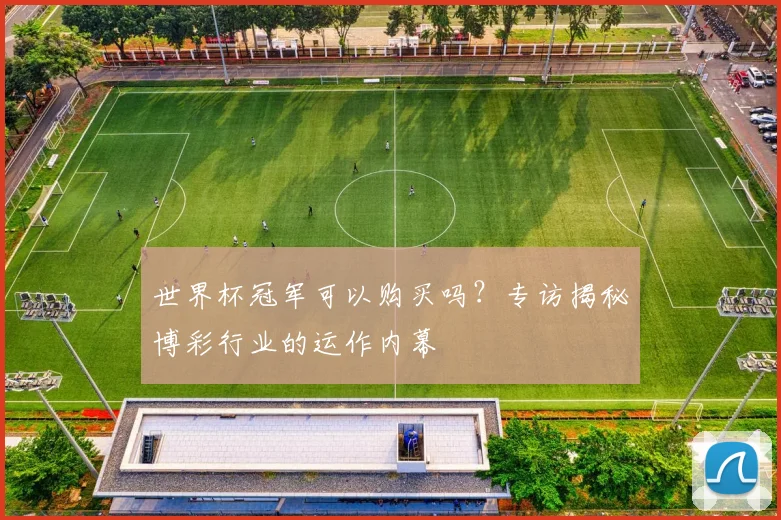 世界杯冠军可以购买吗?专访揭秘博彩行业的运作内幕