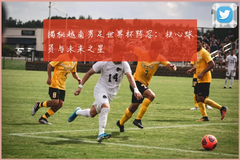 揭秘越南男足世界杯阵容：核心球员与未来之星