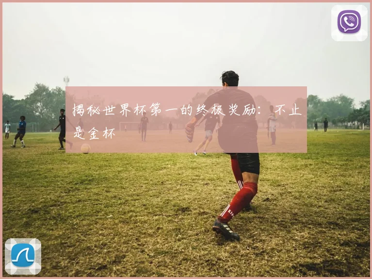 揭秘世界杯第一的终极奖励：不止是金杯