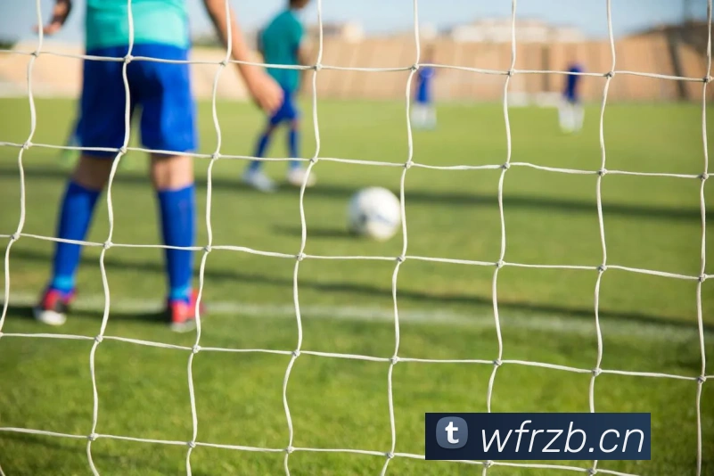 九游网页版入口平台生态图